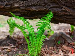 -长春公园(普阳街道)