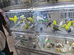 -三旗百汇商品城