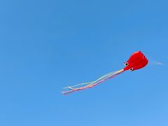 -Seesaw Coffee(苏州中心店)