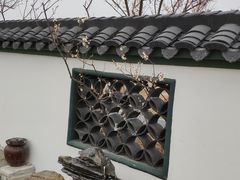 -灌云梅园景区