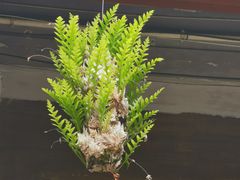 -海窝子古镇