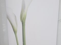 -福奈特洗衣洗鞋(东方路店)