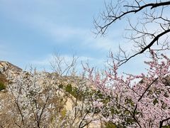 -北京凤凰岭