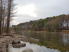 -新江湾城公园