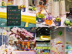 -TOP TOY(大兴荟聚店)
