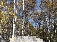 -洮儿河国家湿地公园