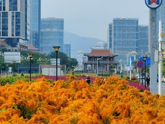 -诚毅广场(地铁站)