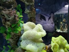 -太平洋海底世界