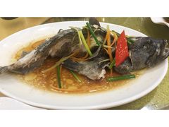 -春园海鲜广场D区6号(钟姐海鲜加工店)