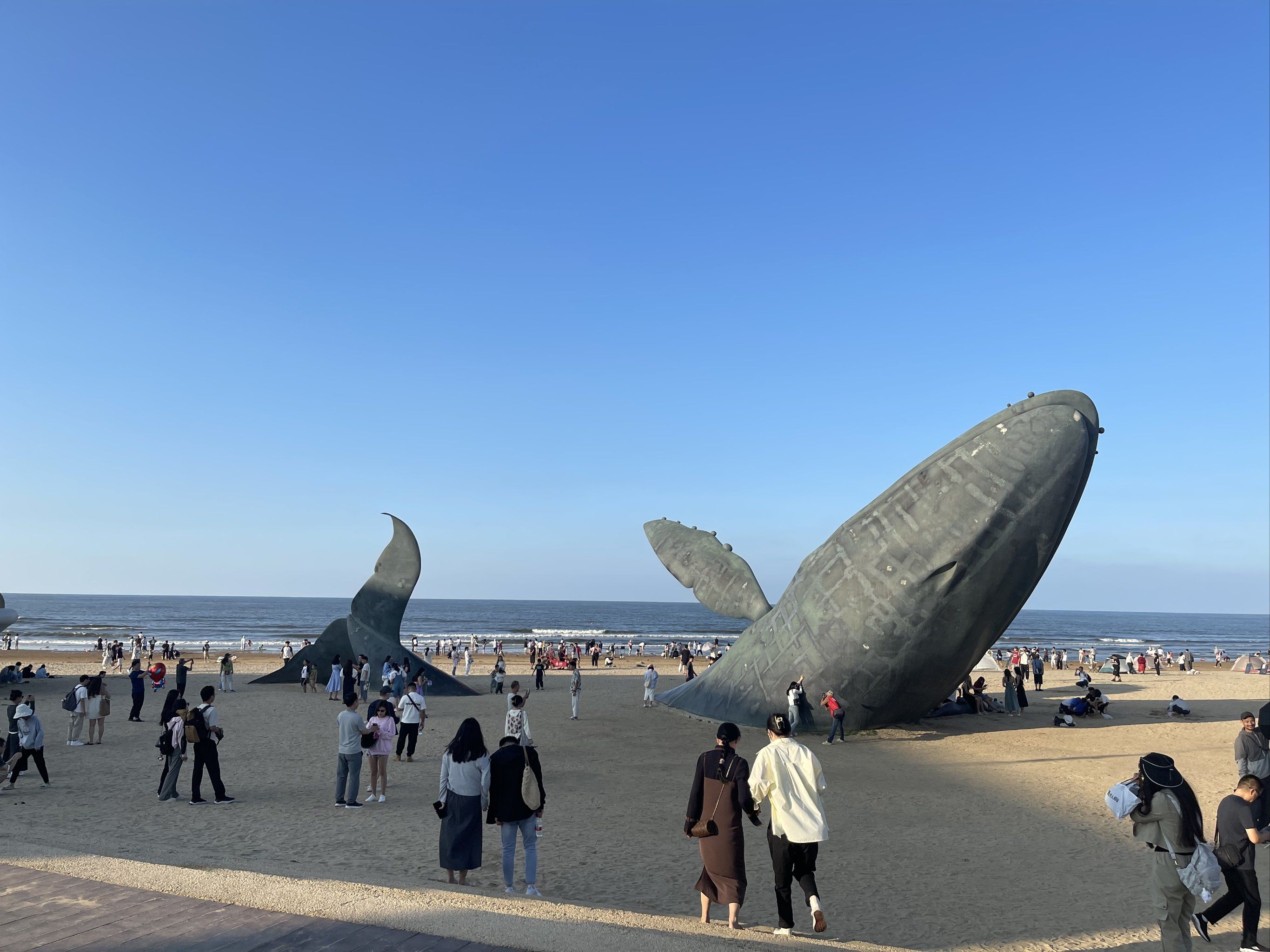 孤独的鲸,孤独的烟台