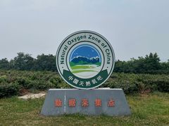-南京市江宁方山