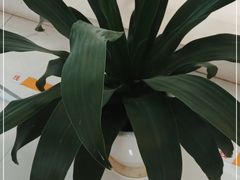 -渝信川菜(南滨店)