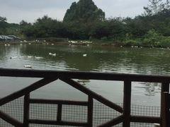 -锦湖农庄(松山湖梦幻百花洲店)