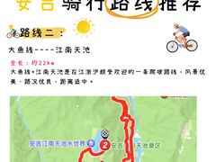 -阿露佳·舌尖上的安吉菜