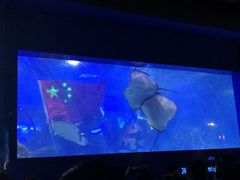 -重庆欢乐海底世界