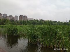 -前关湿地公园