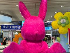 -天娱广场