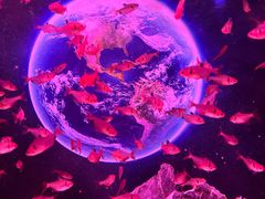 -正佳极地海洋世界