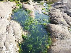 -海合安青岛极地海洋公园