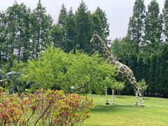-棒棰岛宾馆景区