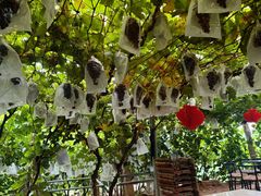 -大泽山风景名胜区