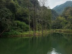 -五泄景区