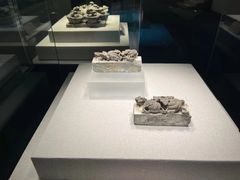 -中国（海南）南海博物馆