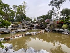 -东莞植物园
