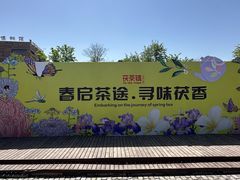 -茯茶镇