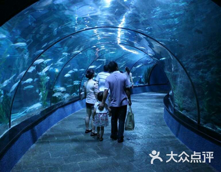 海洋公园图片 - 第1094张
