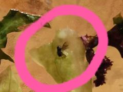 -豆蔻电影主题餐厅(四牌楼店)