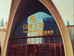 -贝壳王国博物馆