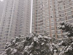 -怡康花园
