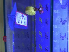 -麦当劳(黎溪广乐高速服务区)
