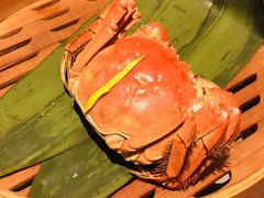 -成隆行·蟹王府(九江路店)