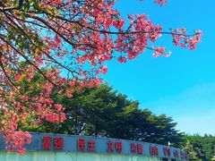 -文华公园(禅城区)