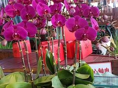 -荣食方(兴华路店)