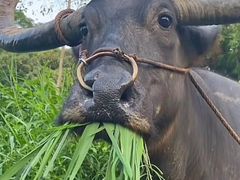 -仁和四季涮肉馆(天坛南门店)