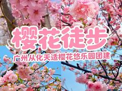 -天适樱花悠乐园