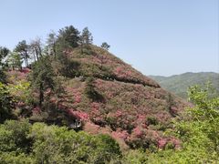 -木兰云雾山