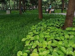 -玲珑塔公园