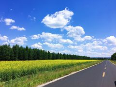 -塞罕坝国家级自然保护区