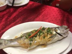 -蛇口康乐快餐鱼仔档(翠苑小区店)