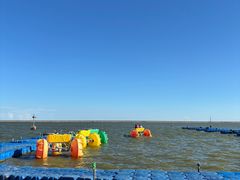 -碧海金沙