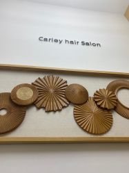 -THE LOG SALON 记录