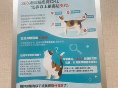 -瑞鹏宠物医院·骨科·猫科·内科(第一中心)