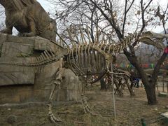 -西安秦岭野生动物园