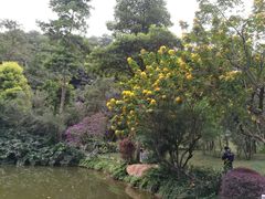 -云溪植物园