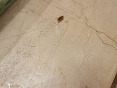 -茵特拉根酒店·西餐厅