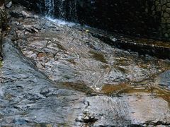 -大奇山国家森林公园